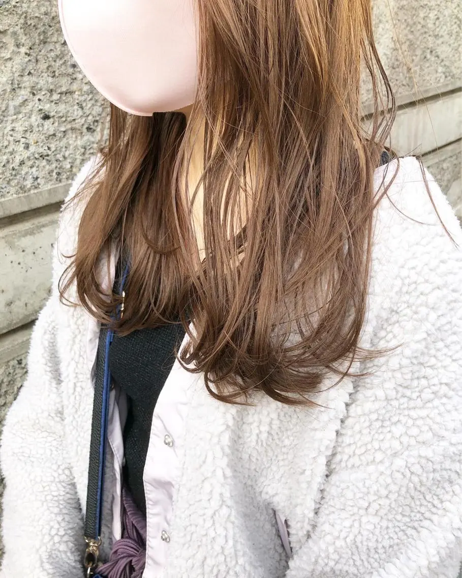カラーの写真