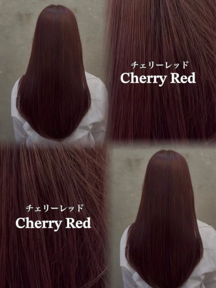 ショート カラー ヘアカラー 透明感カラー/艶 ✖️上品/修生🥀のヘアスタイル