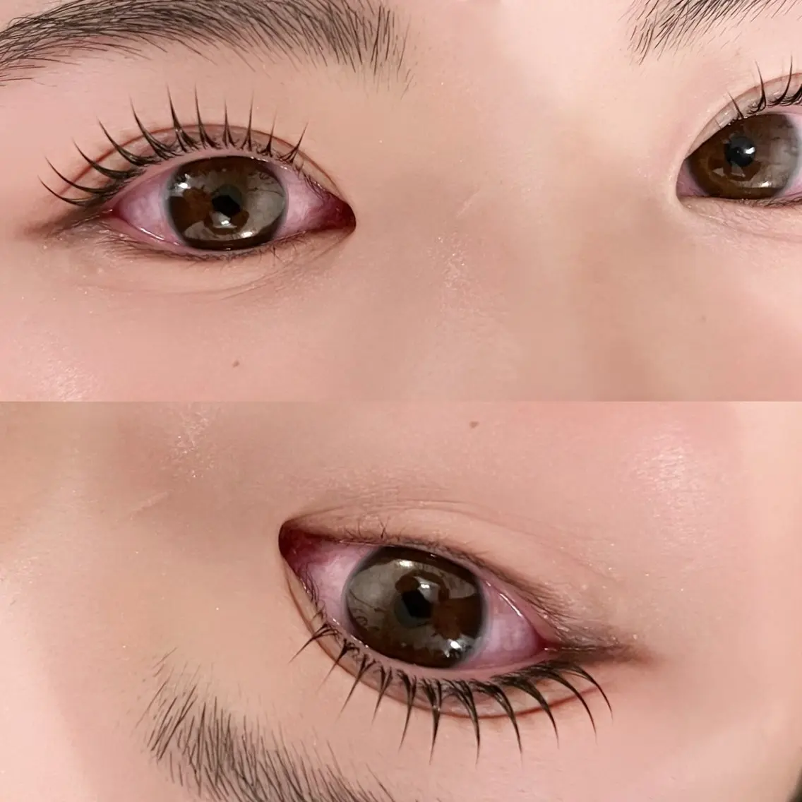 コーティング付き✨似合わせまつげパーマの写真