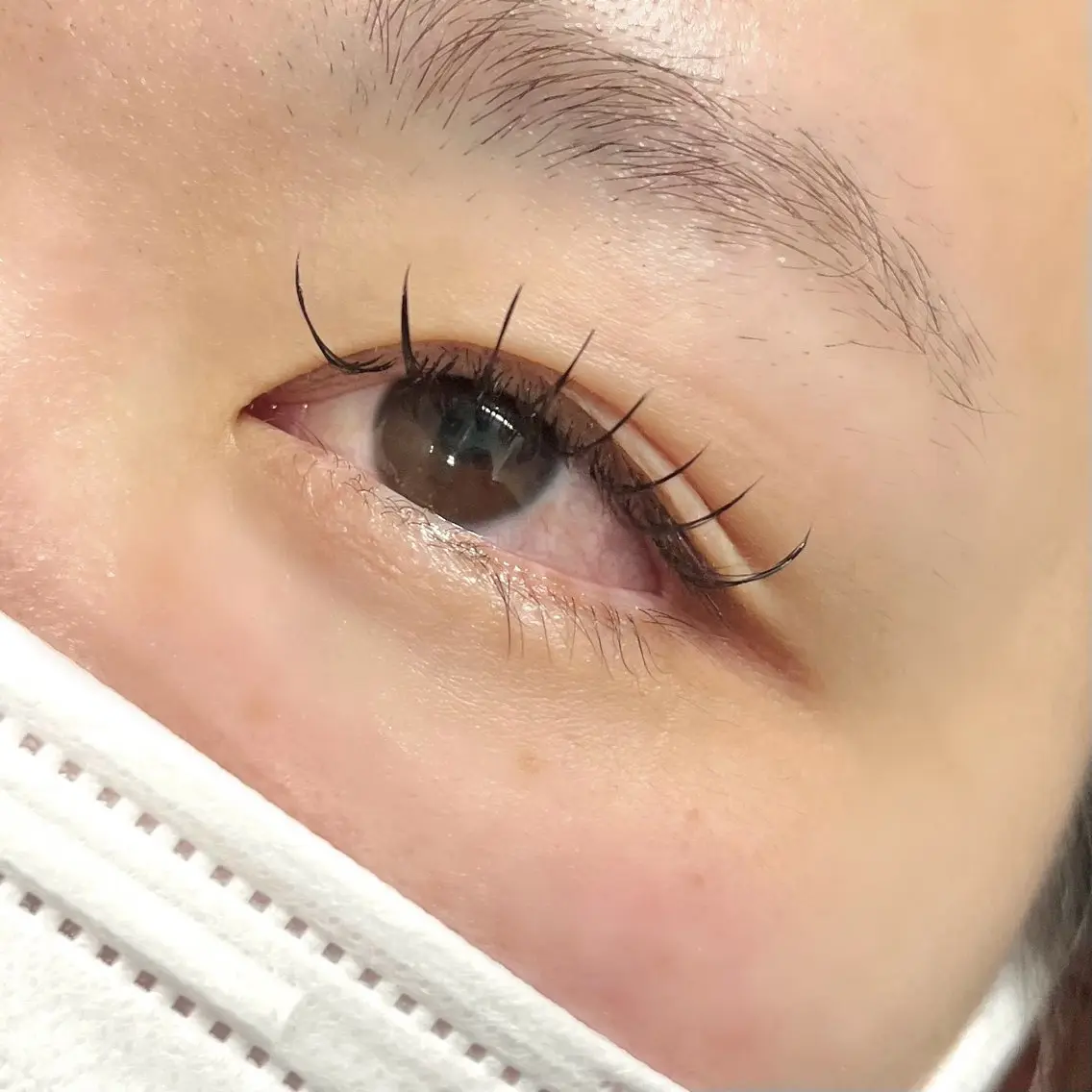 ※平日17時まで限定5/22日 まで 【オフ込】フラットラッシュ 80~120本の写真
