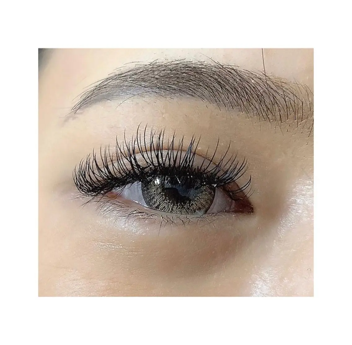 マツエク・マツパ Dカール eyelash Anmut Lunaのマツエク・マツパデザイン