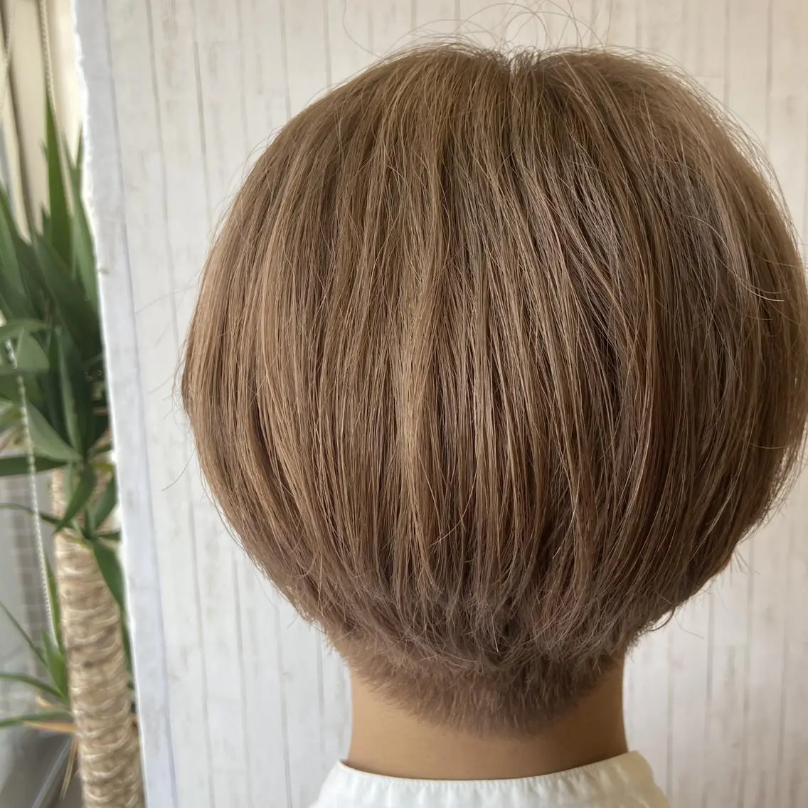 ショート カラー 透明感カラー カぺリベラ 香里園店のヘアスタイル