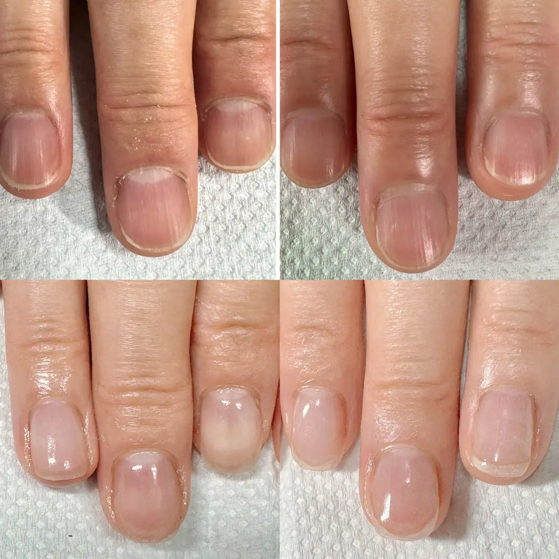 ネイル ネイルケアサロン Campanulaのネイルデザイン
