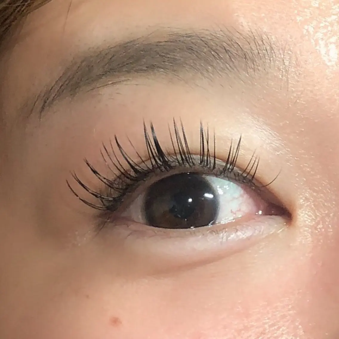 マツエク・マツパ フラットラッシュ Dahliaダリア 斉藤のマツエク・マツパデザイン
