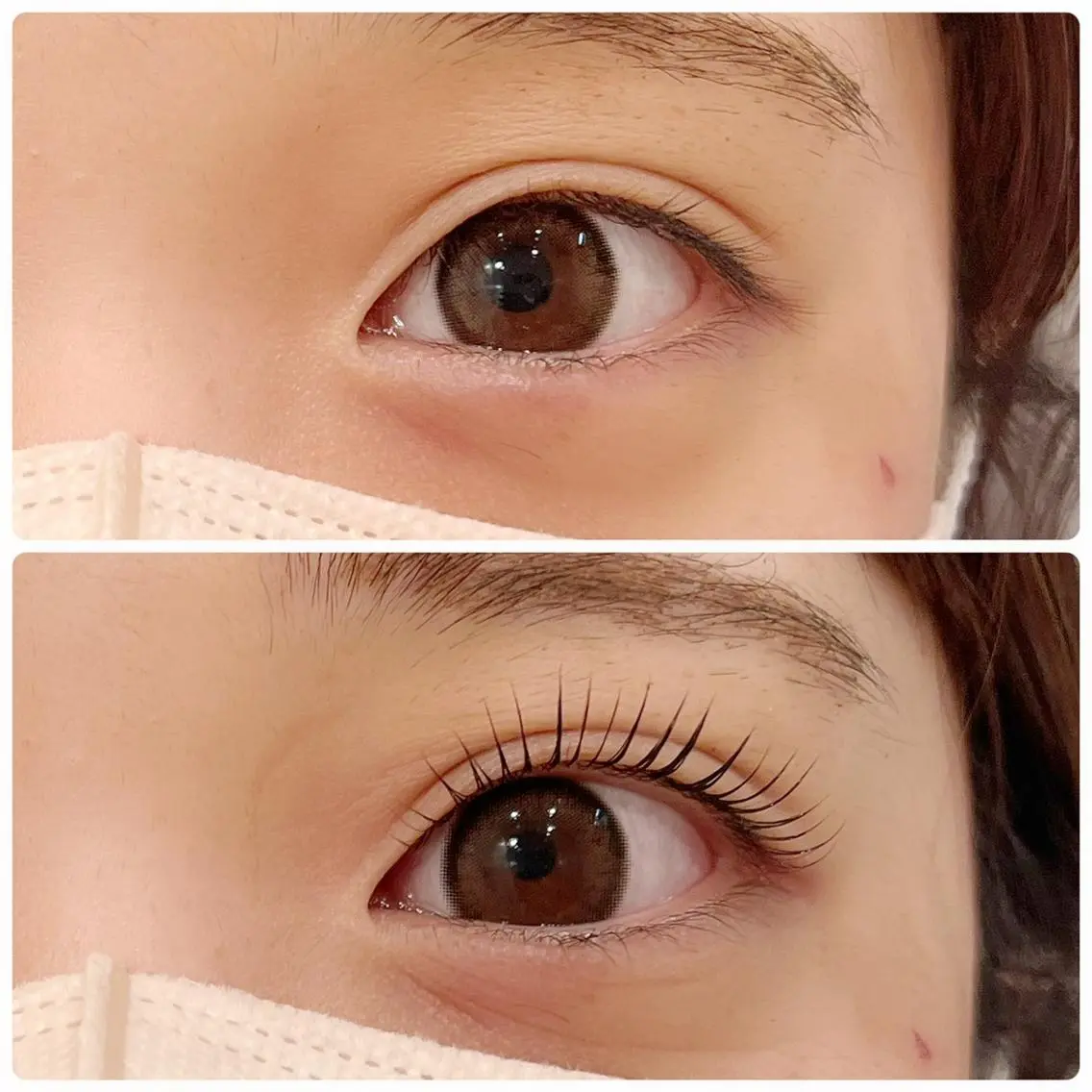 マツエク・マツパ A'VI　Eye CoCoLo新潟店のマツエク・マツパデザイン