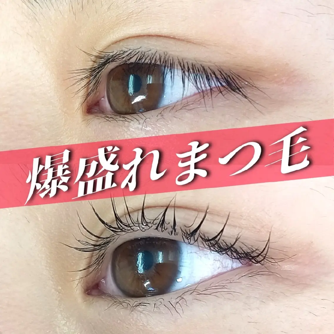 【期間限定】1coinモニター募集中♪ アイラッシュリフト上まつ毛の写真