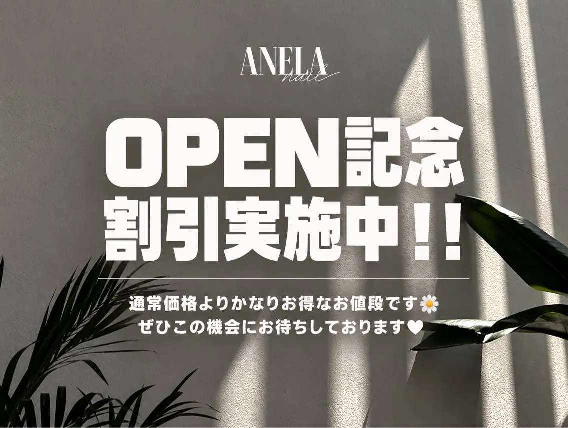 ネイル 韓国ネイル ワンホンネイル Nail Salon ANELAのネイルデザイン