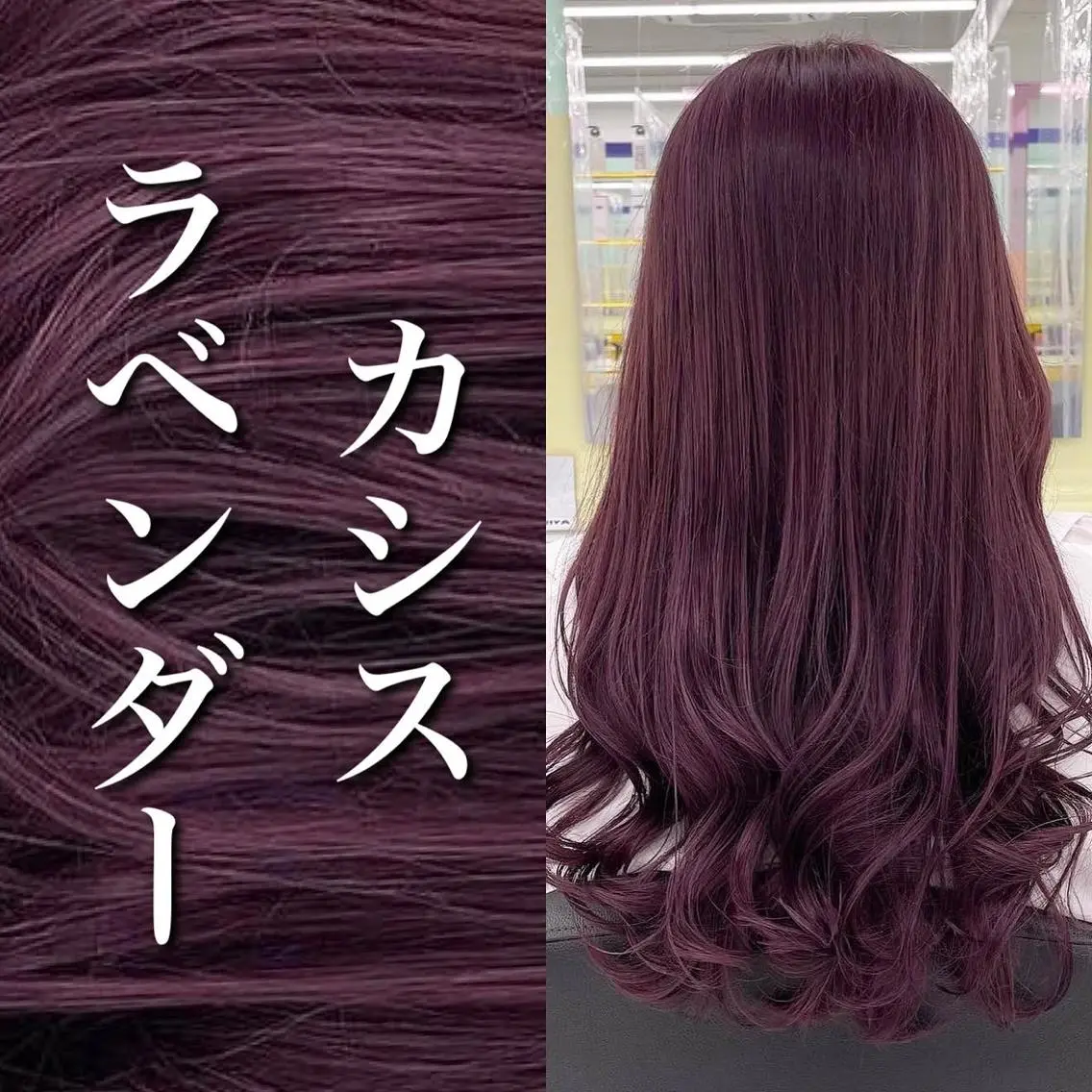セミロング カラー パーマ ヘアアレンジ メンズ ヘアカラー トリートメント ヘッドスパ ヘアセット 🪞モテ髪/トレンド 銀座DISCO🪞のヘアスタイル