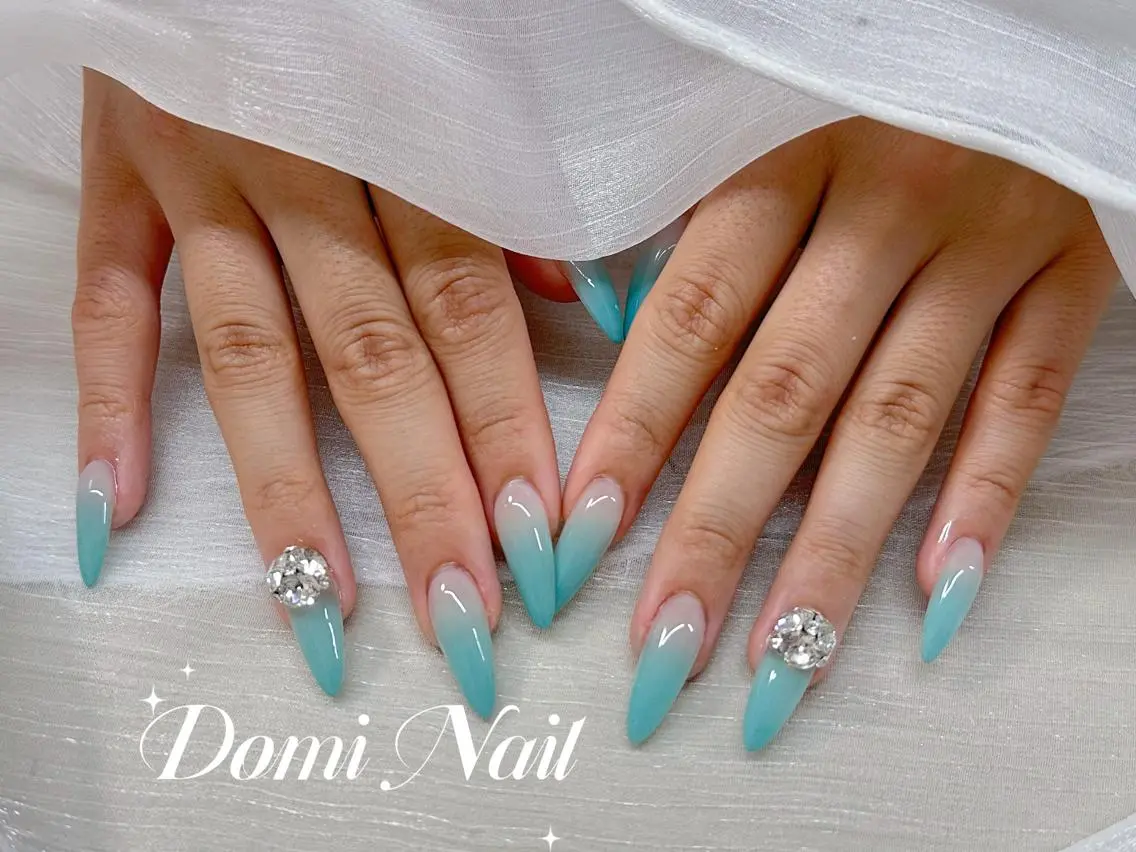 ネイル 持ち込み ネイルチップ ハンドネイル Domi Nail Salonのネイルデザイン