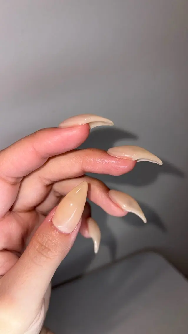 猫🐈爪💅の写真