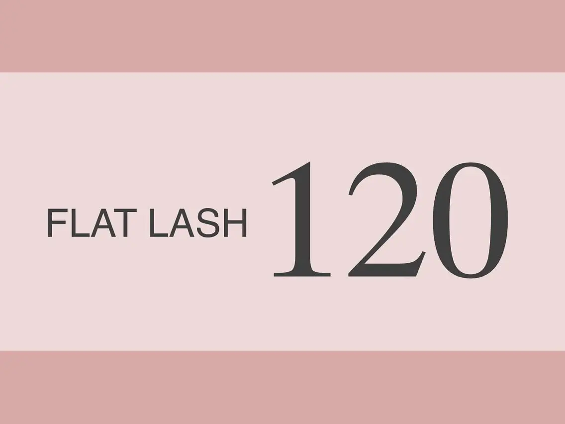 フラットラッシュ120本(LED変更＋¥2500)の写真