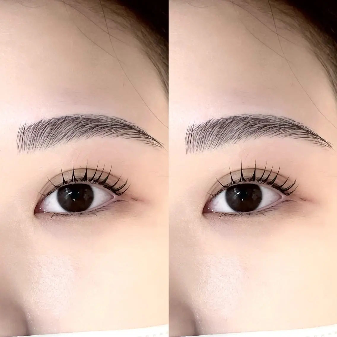 6月平日限定❕⭐️まつ毛パーマ+アイブロウWAX脱毛の写真