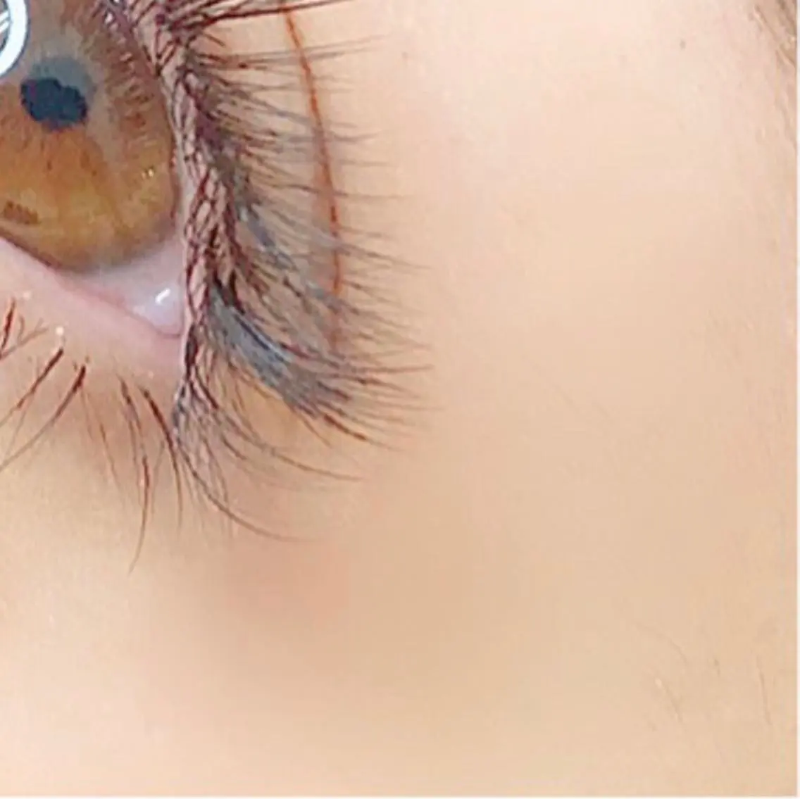 マツエク・マツパ eyelash- r🌹の眉毛・アイブロウイメージ