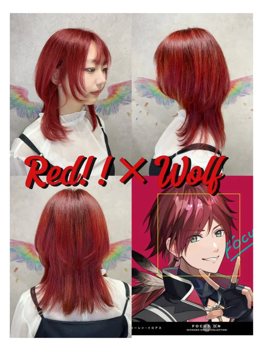 ミディアム カラー レッドカラー ウルフカット カット ヘアカラー トリートメント 韓国ヘアー🦄ྀི オタク美容師🌈山本のヘアスタイル
