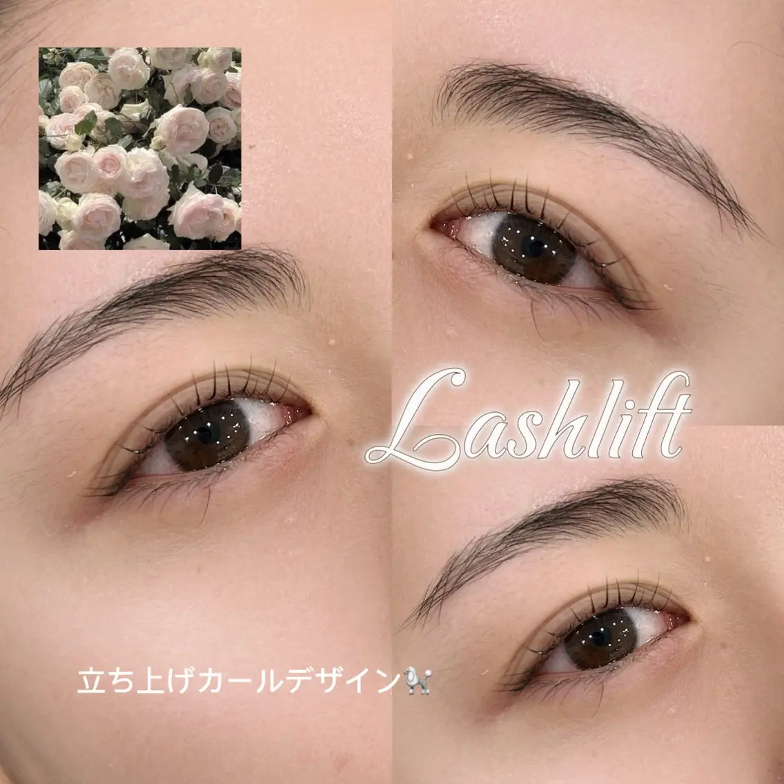 マツエク・マツパ さつき🐩🖤 束感/可愛い/韓国風のマツエク・マツパデザイン
