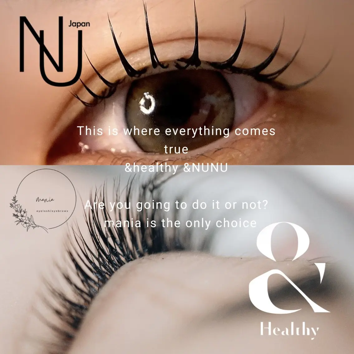 ナチュラル &healthy100の写真