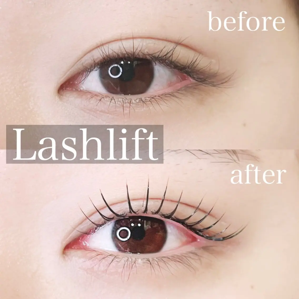 【口コミ投稿限定価格✨】ラッシュリフト🎀(パリジェンヌ変更可)トリートメント付の写真