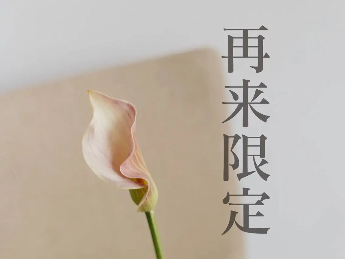高岳/新栄町 yuu🌼の眉毛・アイブロウイメージ