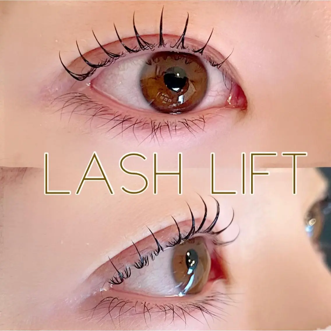 マツエク・マツパ LED＋550円☆ Omueyelashのマツエク・マツパデザイン
