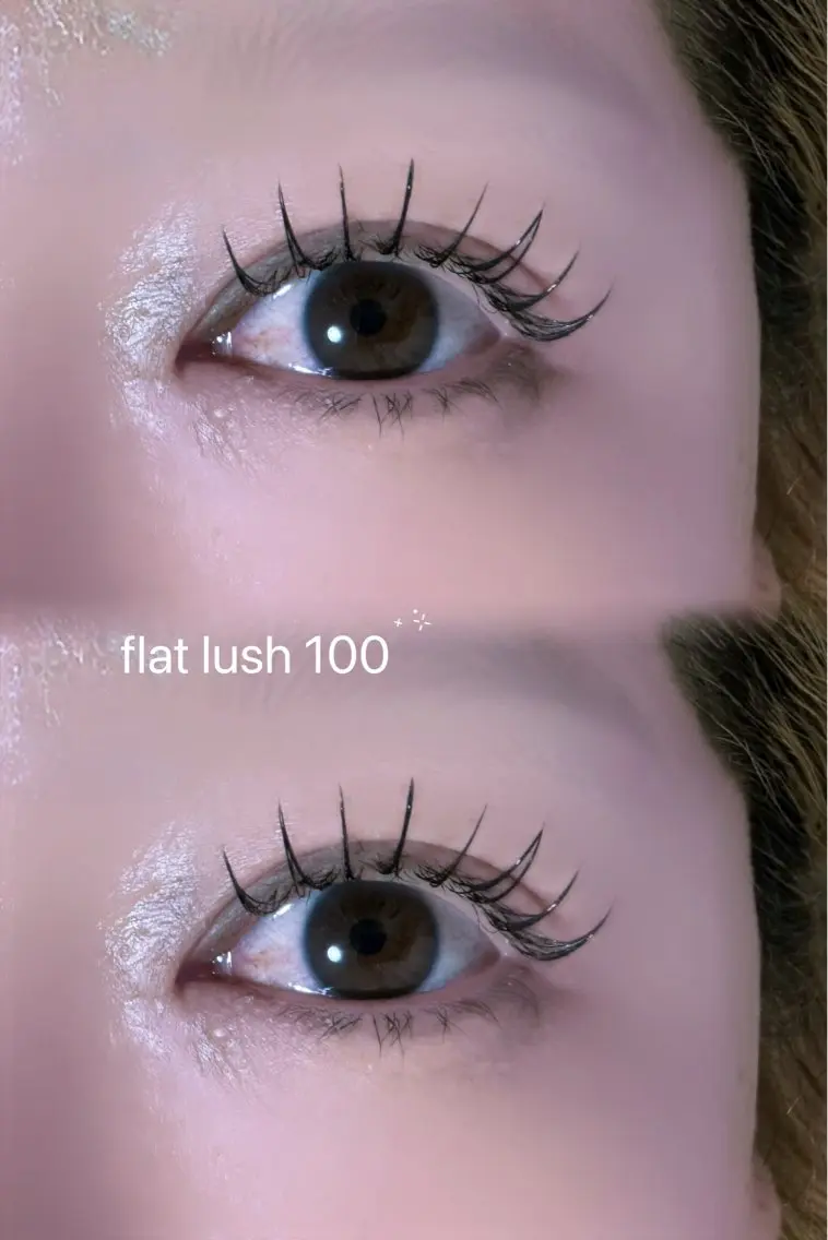 フラットラッシュ マツエク 100本🎀の写真