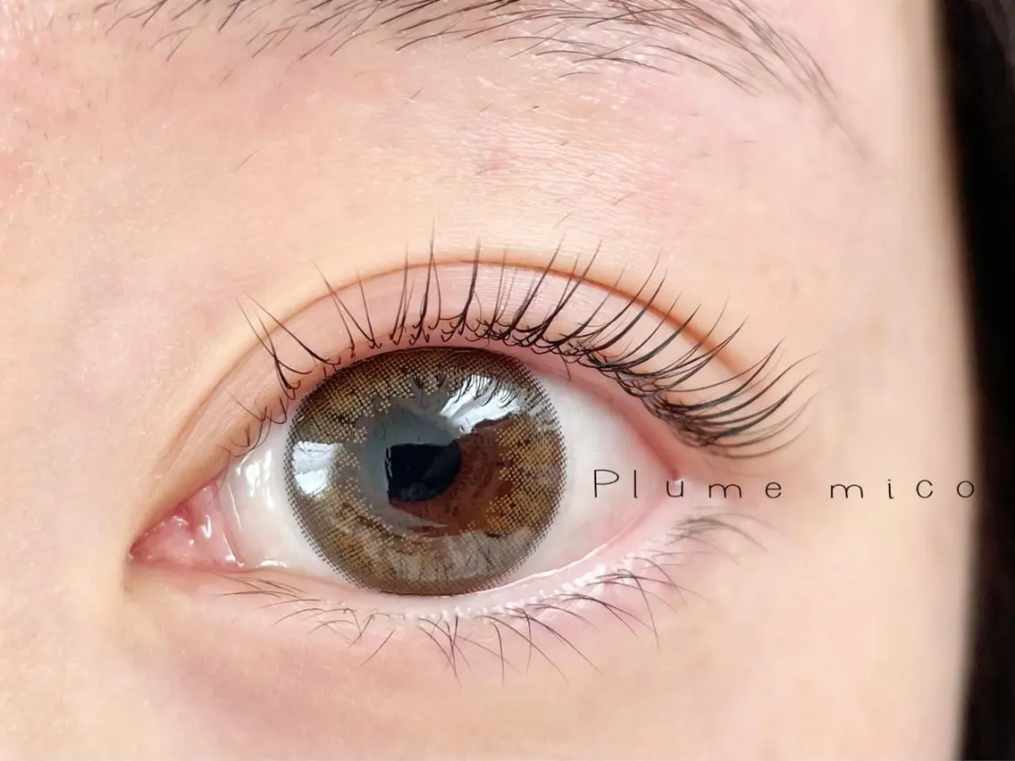 マツエク・マツパ マツパ Plume micoのマツエク・マツパデザイン
