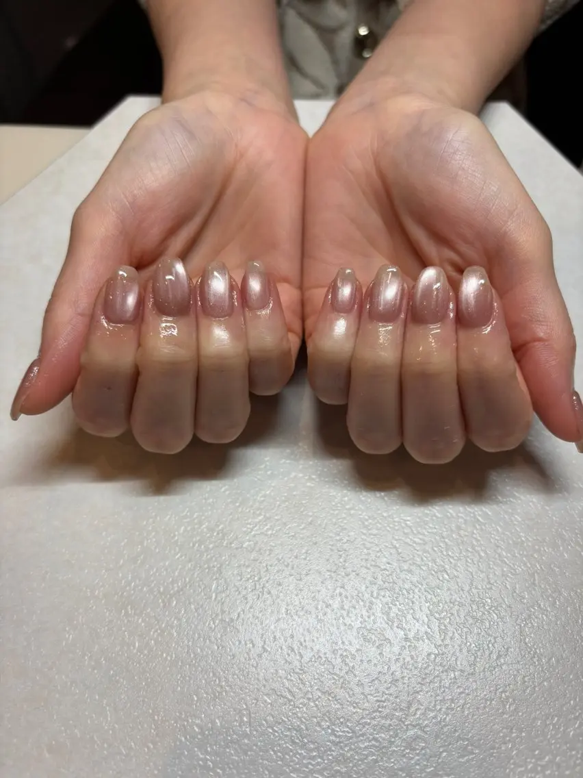 ネイル マグネットネイル マグネットワンカラー ミラーネイル ワンカラーネイル goddess nailのネイルデザイン
