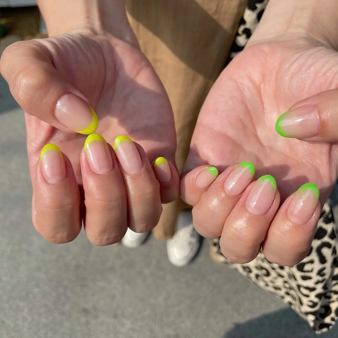 【オフ無しハンド】グラデーション,フレンチ,マグネットの写真