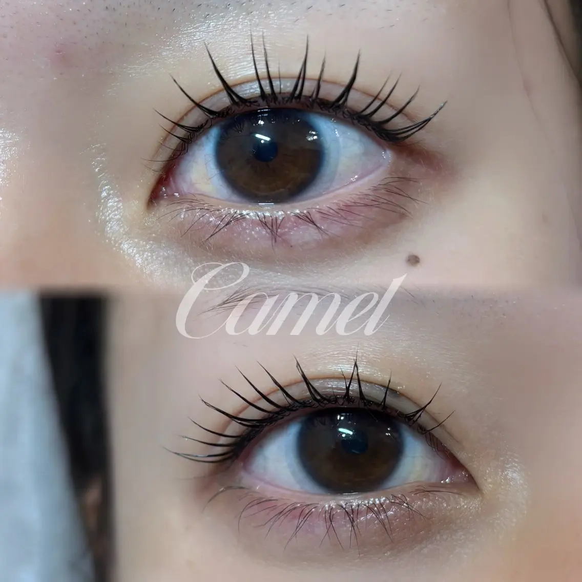 パーマ マツパ Camel maoのマツエク・マツパデザイン