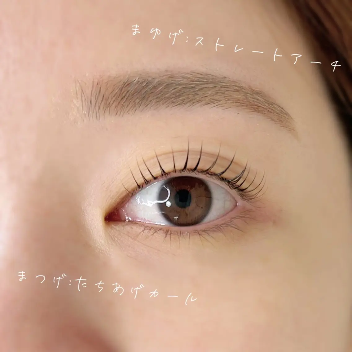 まつ毛パーマ×眉毛スタイリングset【アイシャンプー・ケラチントリートメント、眉メイク付き】の写真