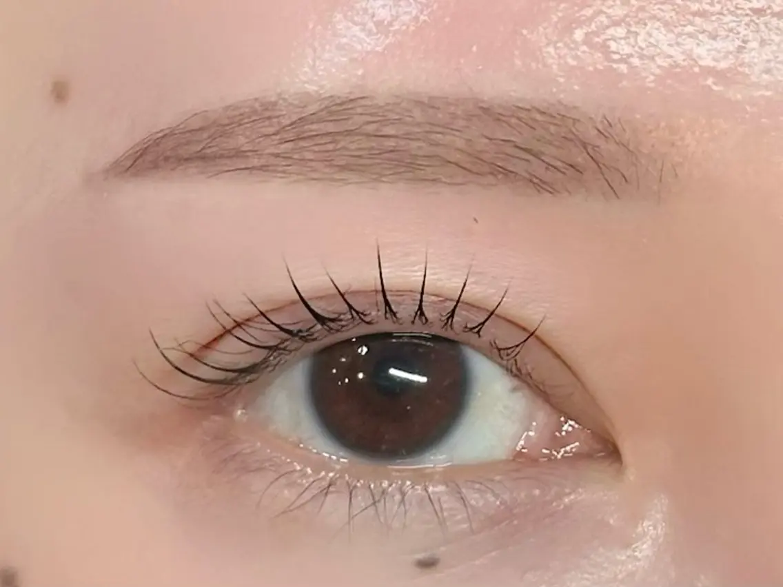 パリジェンヌ+眉毛WAXの写真