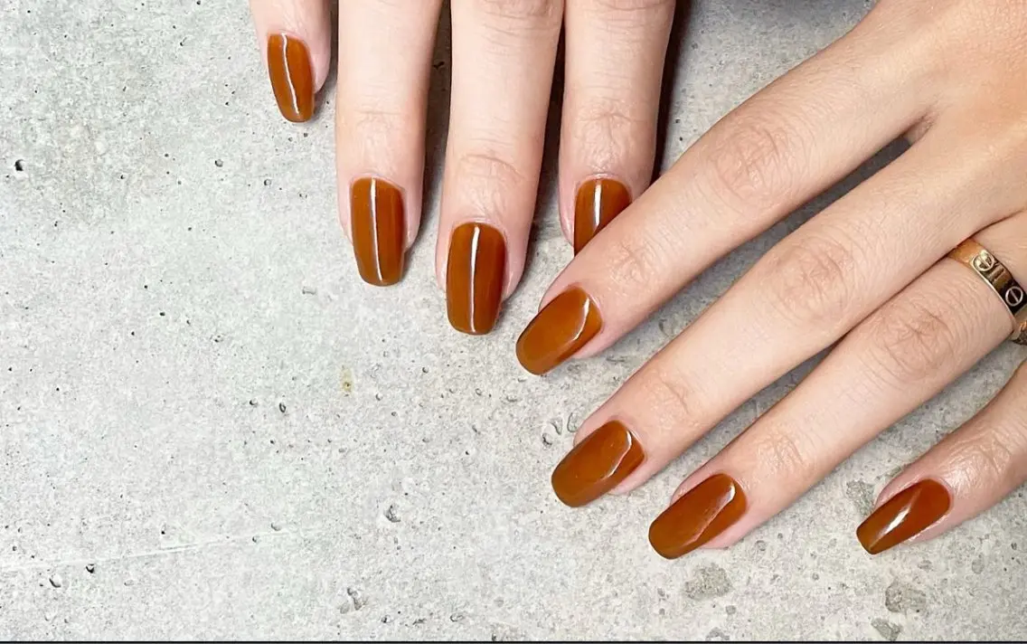 ネイル ブラウン ワンカラーネイル ハンドネイル nailsalon Lujyuaのネイルデザイン