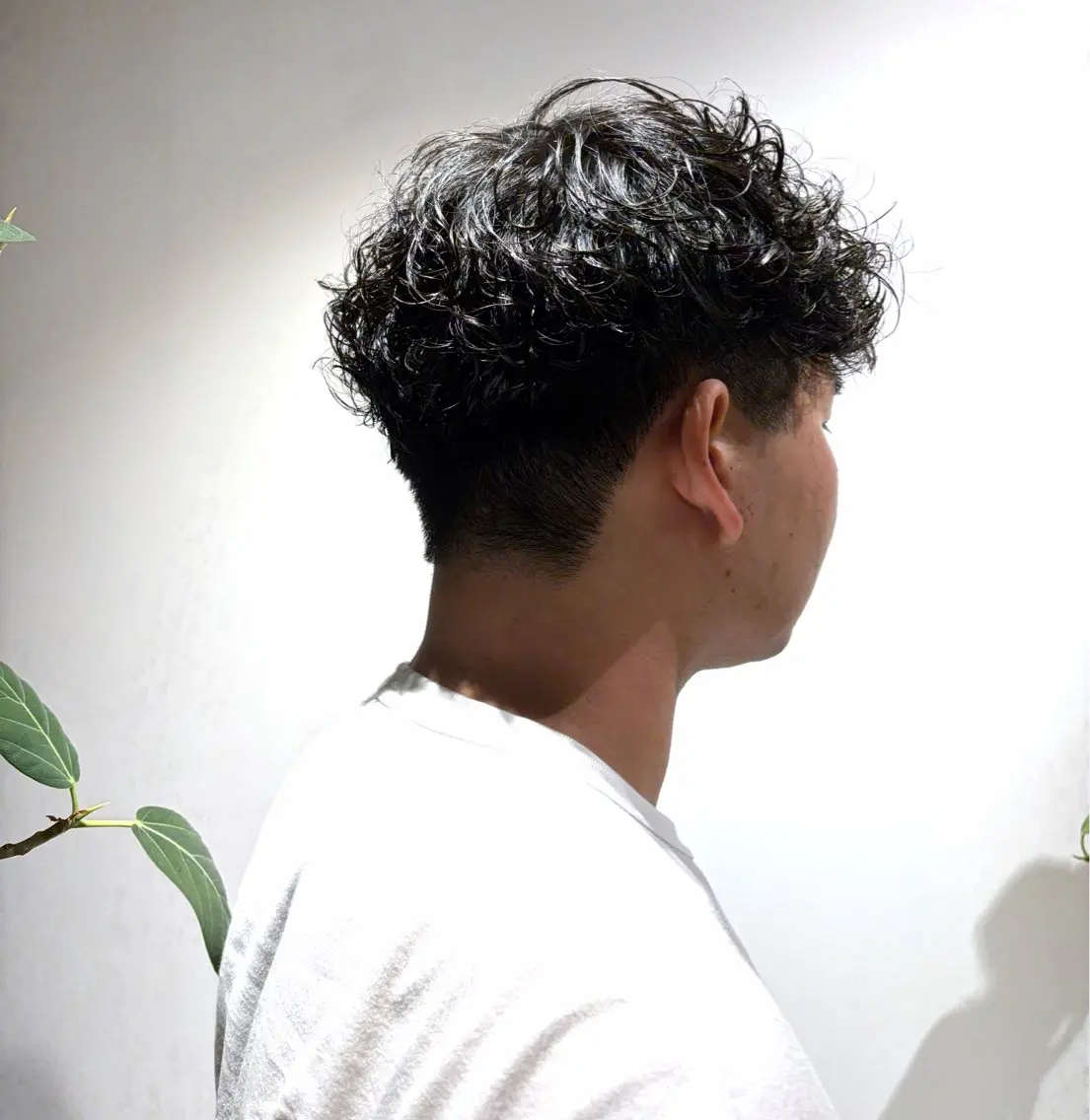 メンズ限定、カット+パーマ+マーブの写真