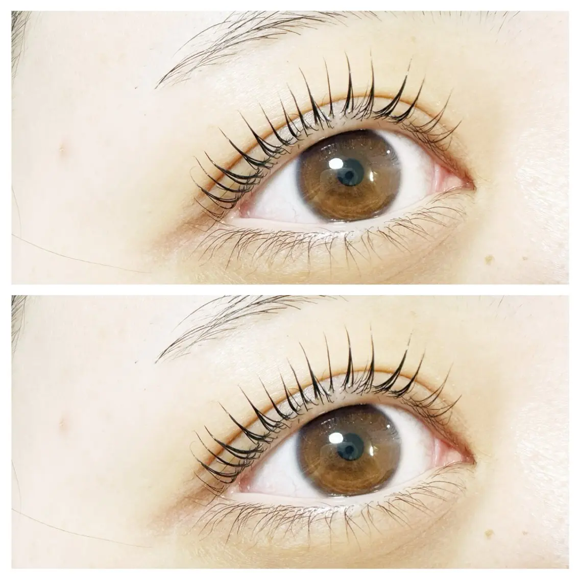 マツエク・マツパ マツパ plume eyelashのマツエク・マツパデザイン