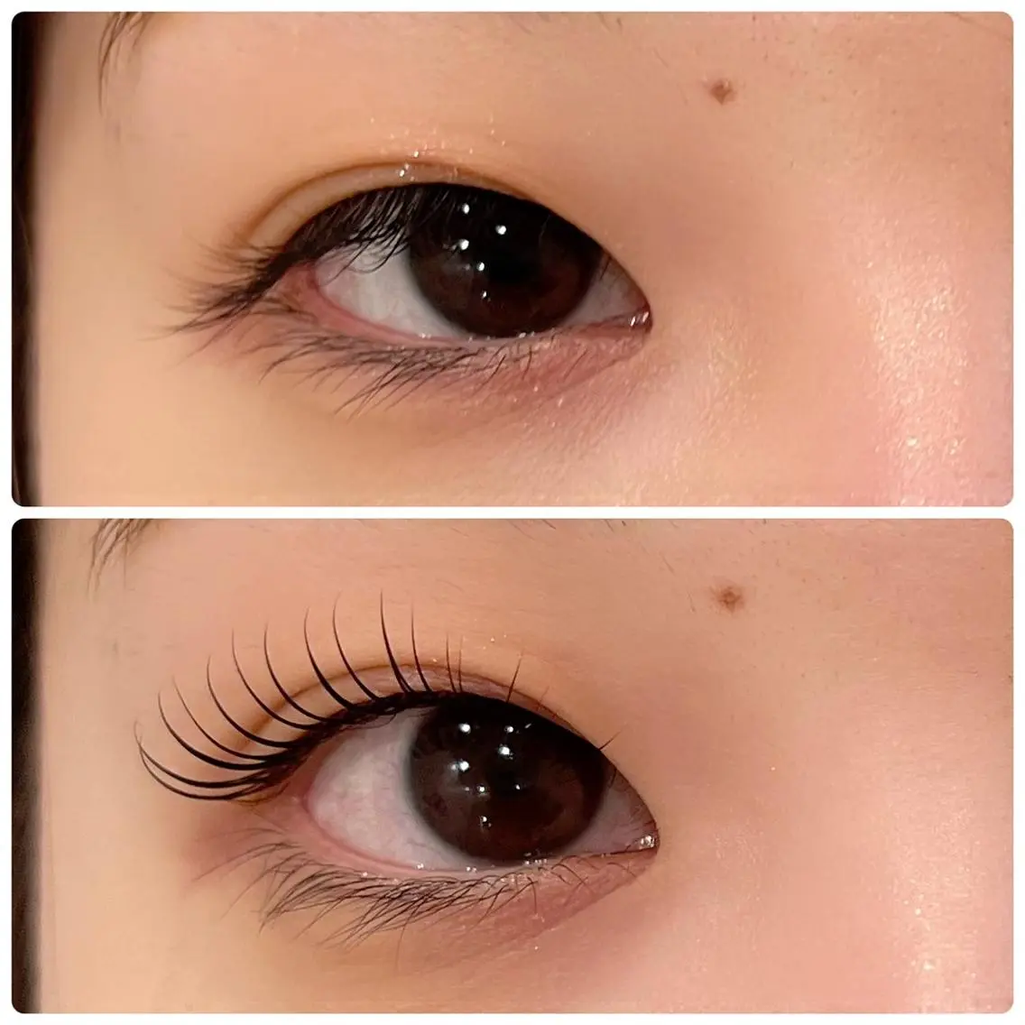 マツエク・マツパ A'VI Eye CoCoLo新潟店のマツエク・マツパデザイン