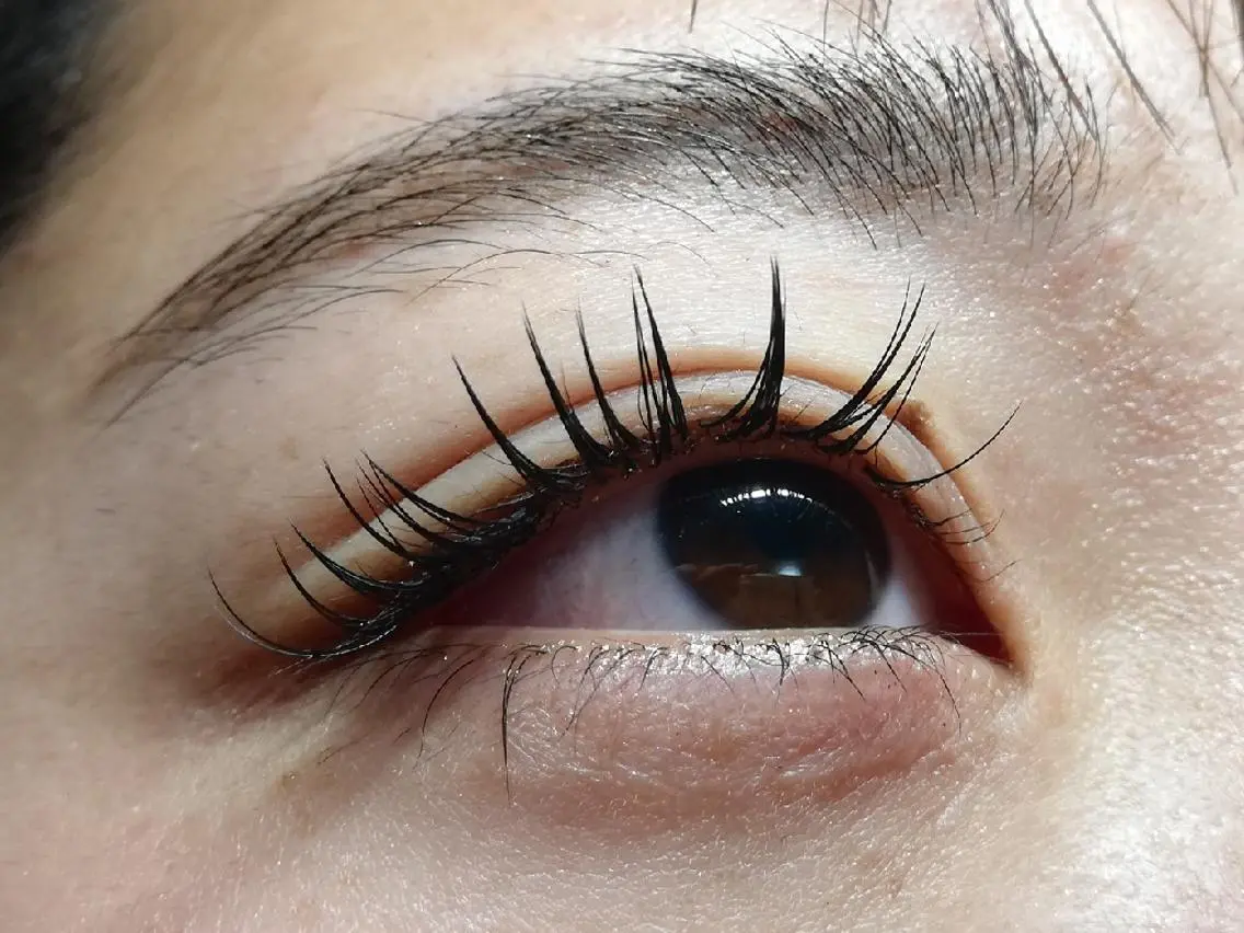 マツエク・マツパ キュート セーブル 完全個室サロン🌹 angelux🌹のマツエク・マツパデザイン