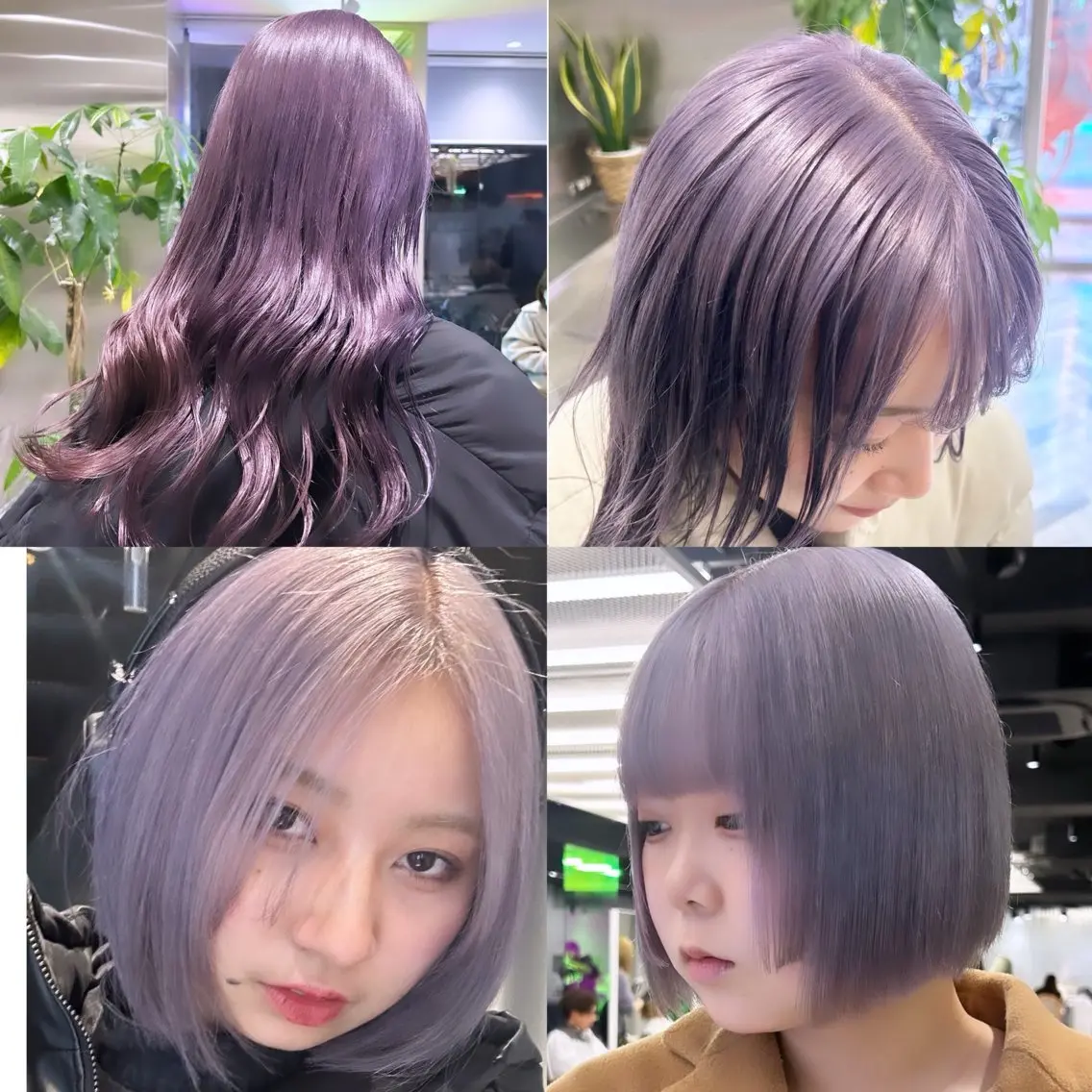 カラー ブリーチ ケアブリーチ 透明感カラー ハイトーンカラー イルミナカラー メンズウルフ/ボブ パーマ/くるみのヘアスタイル