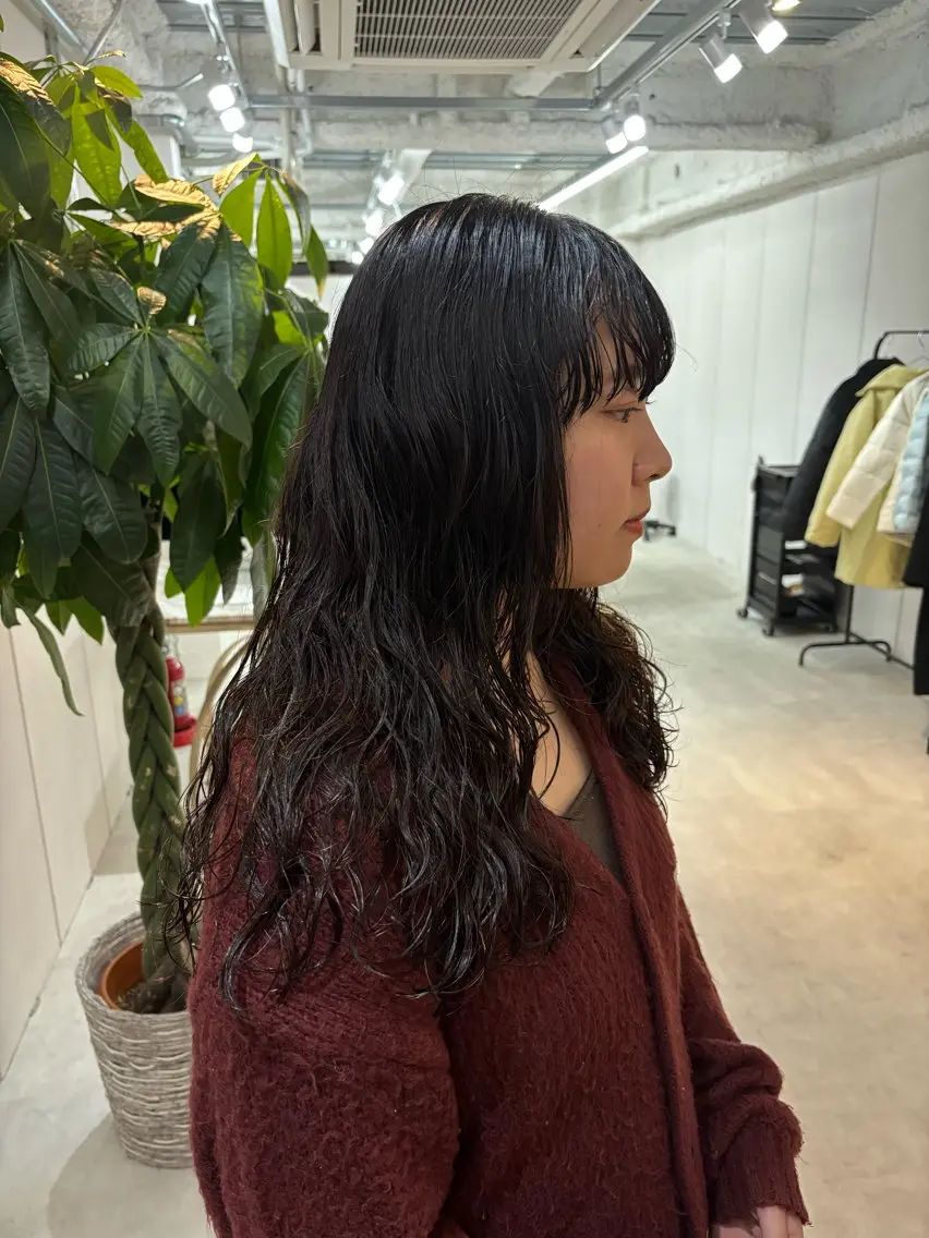 セミロング パーマ カット パーマ トリートメント 透明感カラー/髪質改 善/烏丸御池/寿々乃のヘアスタイル