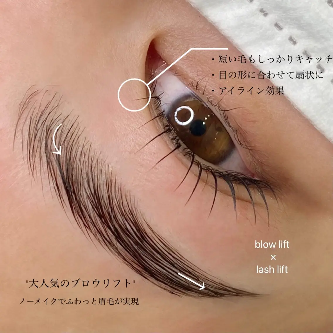 【ご新規様限定 】ブロウリフト💄✨美眉 / 骨格似合わせ(毛流れ矯正WAX.メイク込)の写真