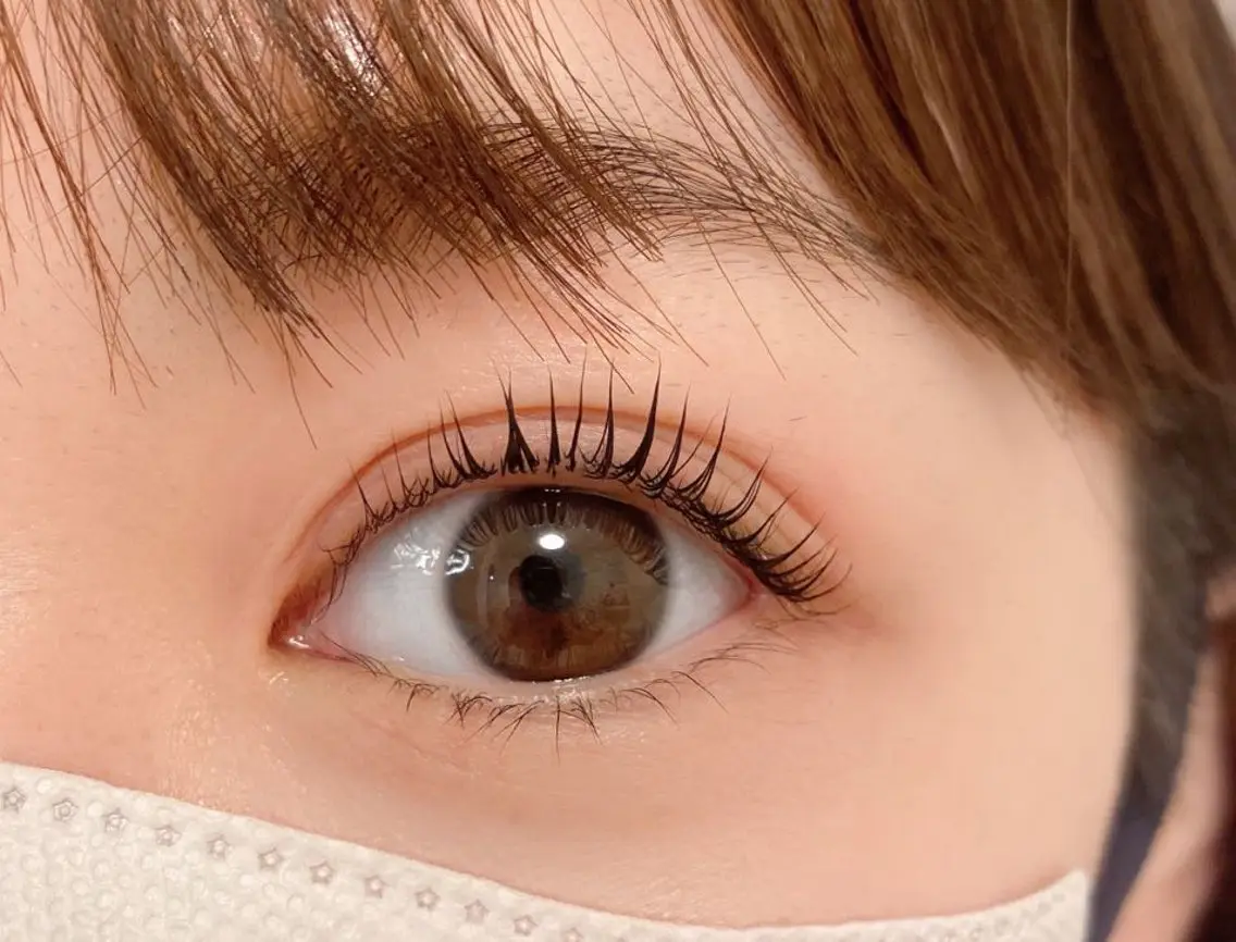 ❤️ 限定【キャンペーン】パリジェンヌラッシュリフト,再来4000,オフ+1000の写真