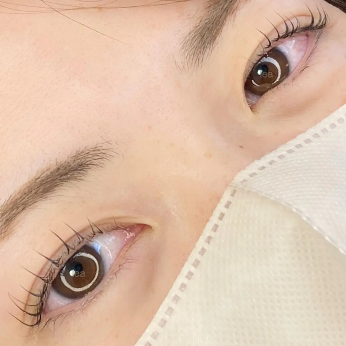 マツエク・マツパ eyelash leaのマツエク・マツパデザイン