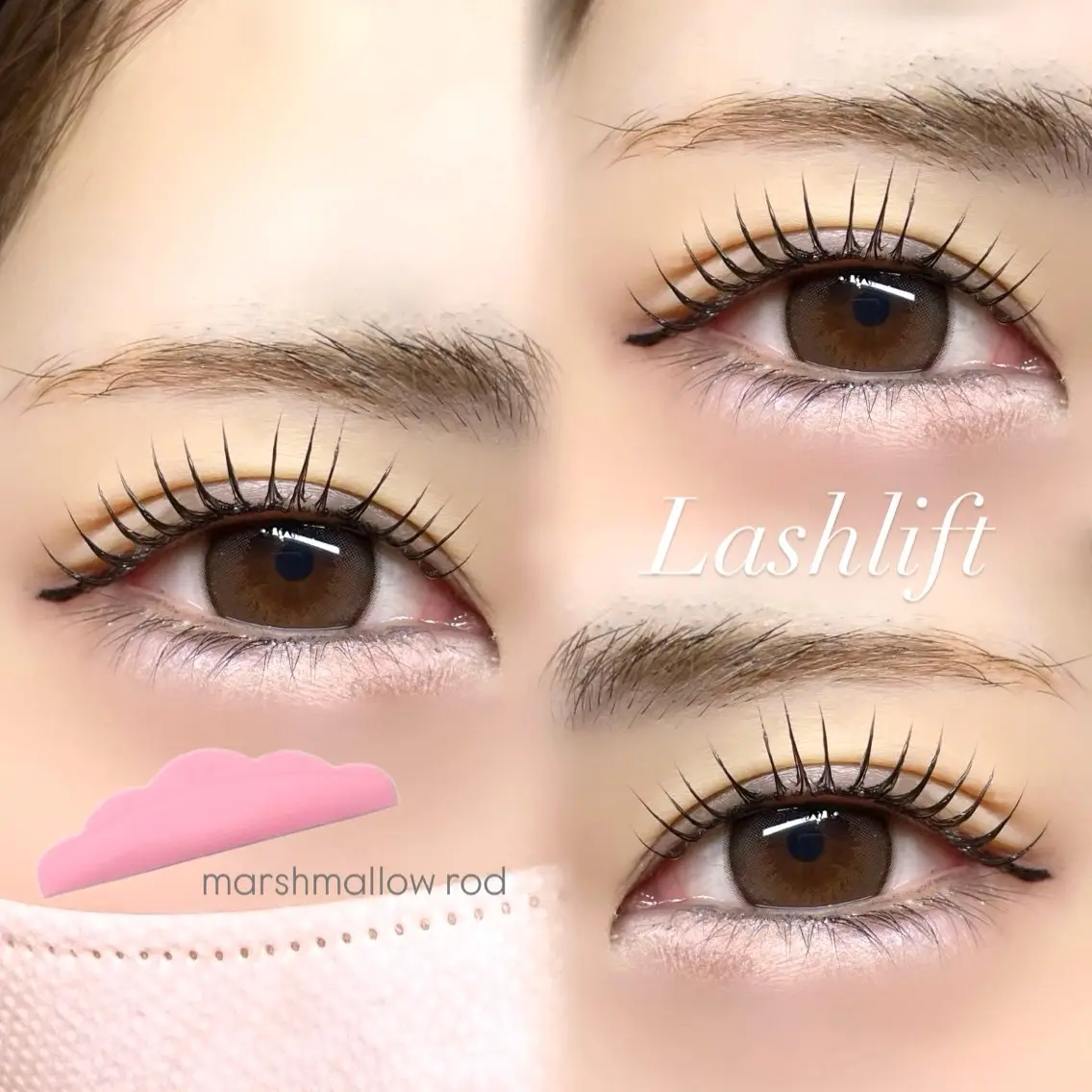 【5月限定】🍒ラッシュリフトorパリジェンヌ🍒の写真