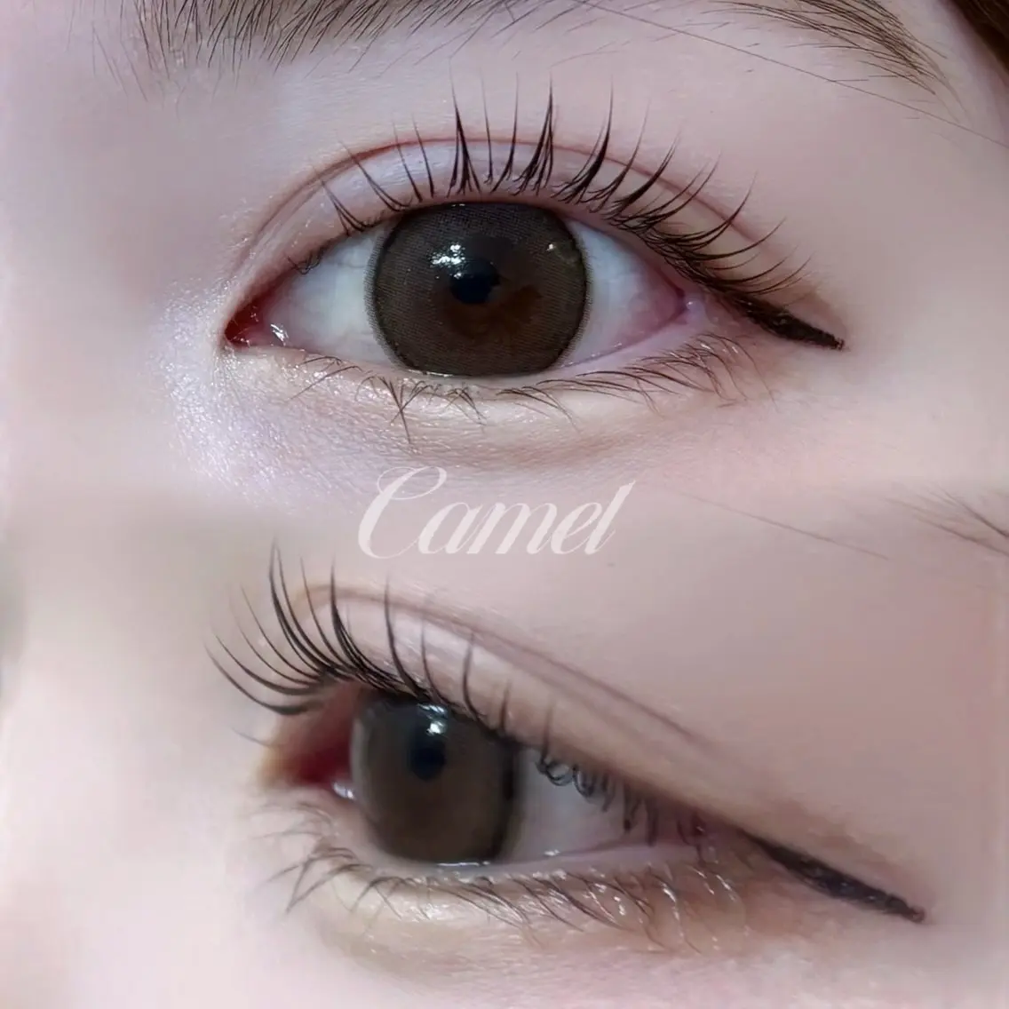 マツエク・マツパ マツパ Camel maoのマツエク・マツパデザイン