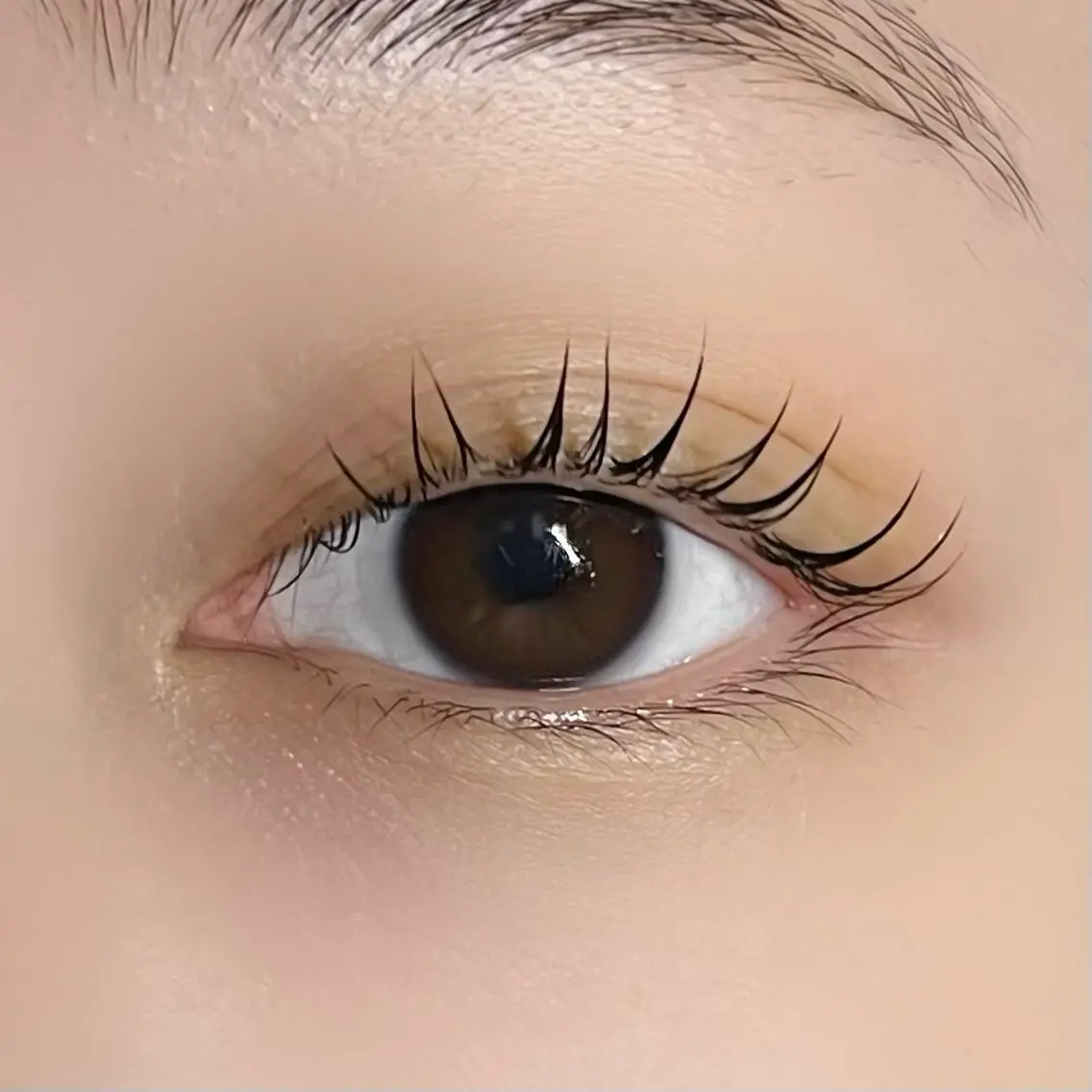 マツエク・マツパ 垢抜け眉WAX専門 ちゅるんまつげ|鎌倉の眉毛・アイブロウイメージ
