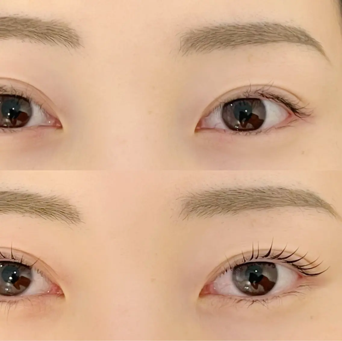 マツエク・マツパ パリジェンヌラッシュリフト まつげパーマ Y.eyelash 赤羽/志茂のマツエク・マツパデザイン