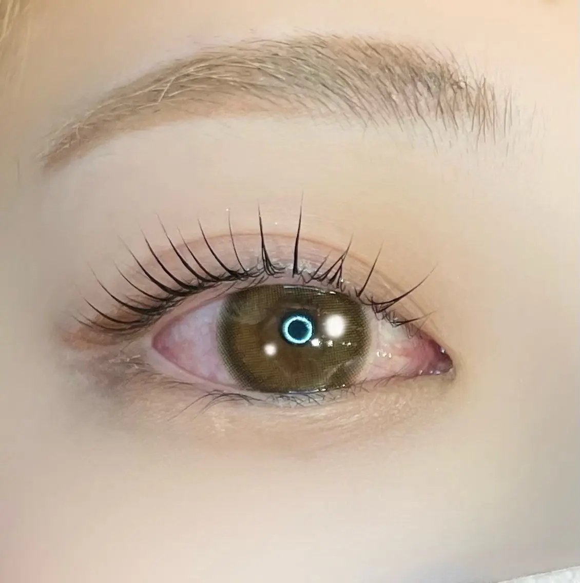 【似合うを見つける眉毛ケア✮*｡ﾟ】🦋アイブロウWAX(眉毛ワックス)🦋の写真