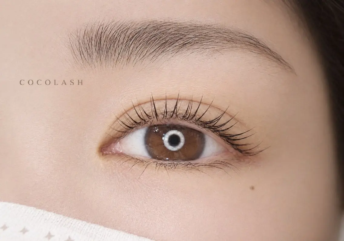 マツエク・マツパ cocolash 🧸のマツエク・マツパデザイン