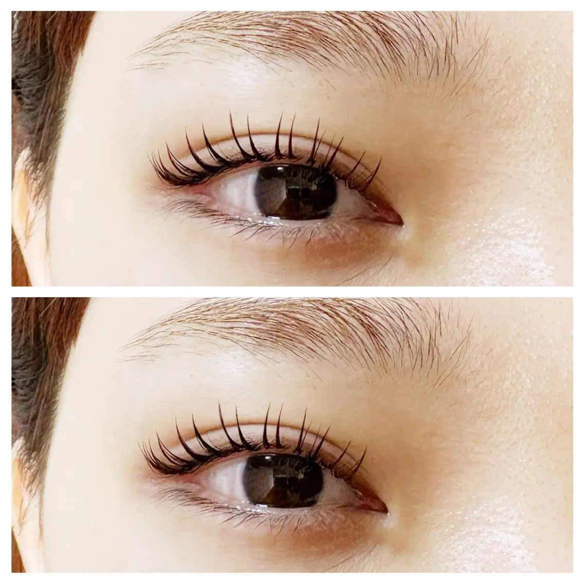 マツエク・マツパ マツエク plume eyelashのマツエク・マツパデザイン