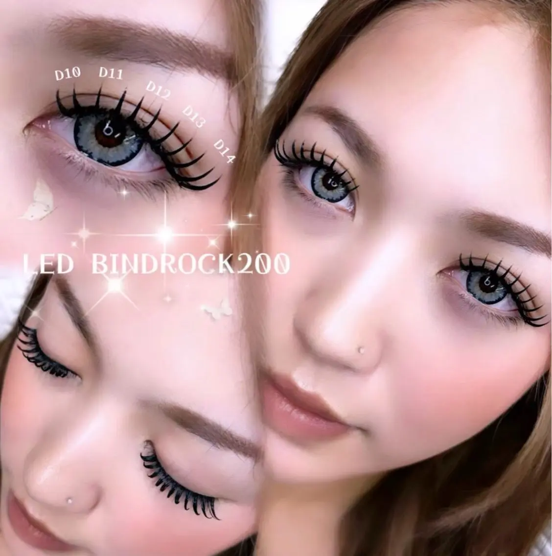 バインドロック/ ダブルフラット 80束の写真