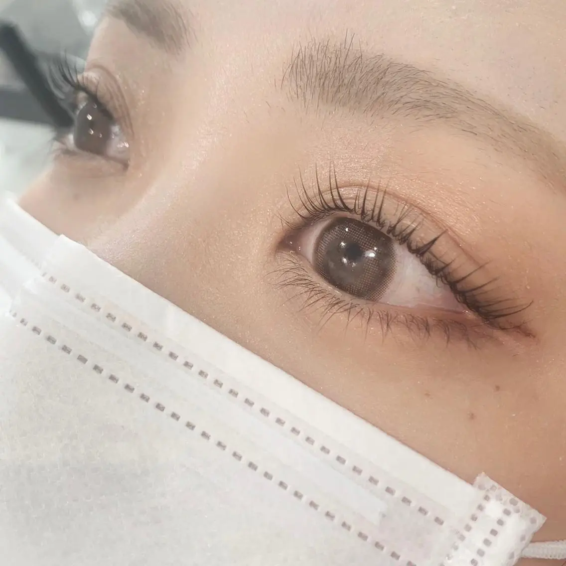 マツエク・マツパ パリジェンヌラッシュリフト Lucia 内田の眉毛・アイブロウイメージ