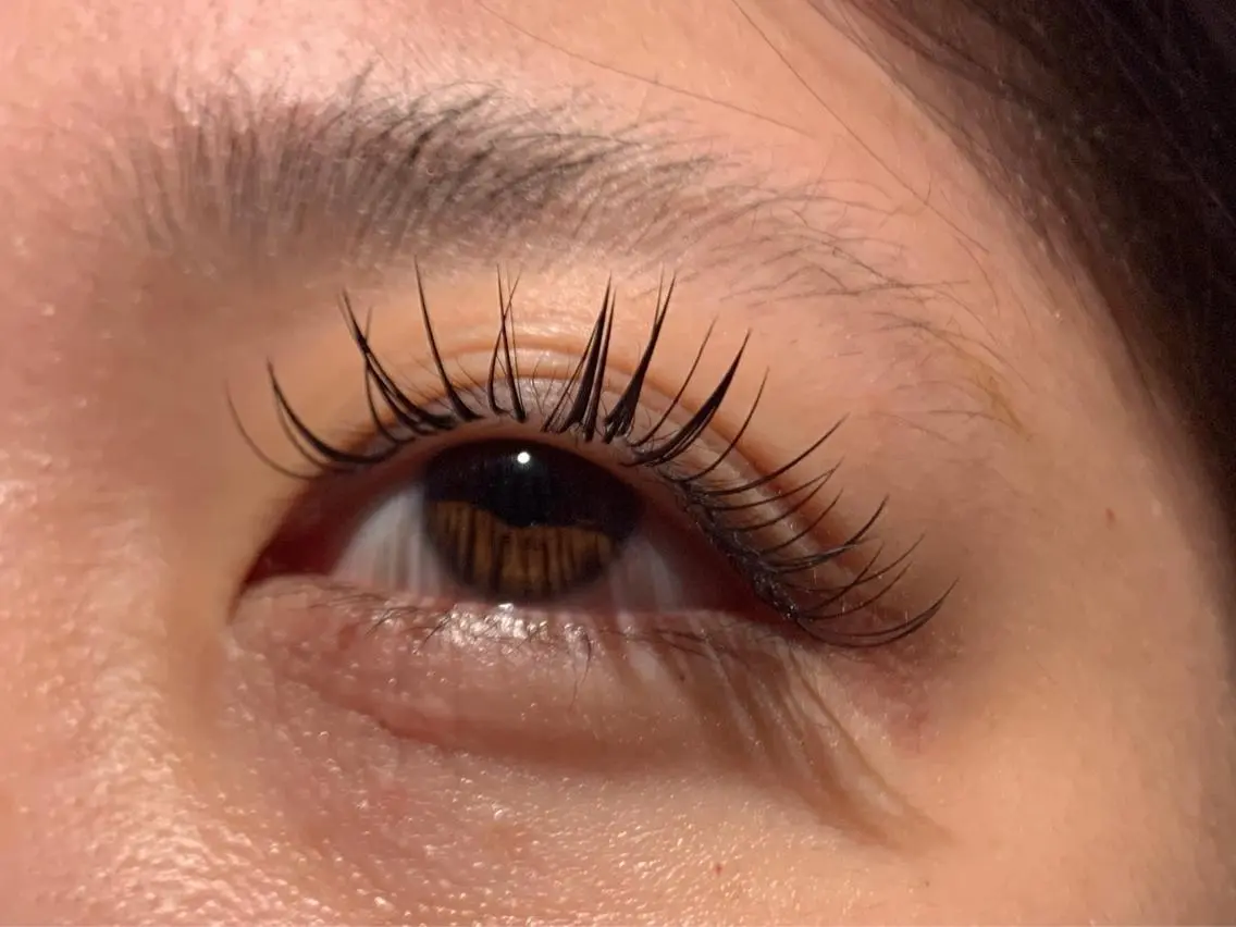 フラットラッシュ🎀両目100本の写真